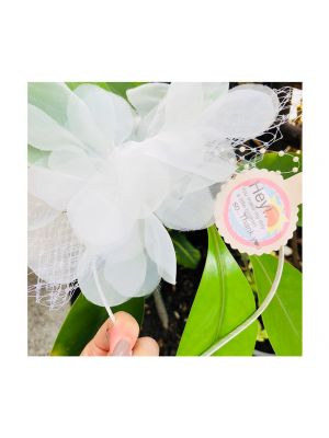 Babyraihsa - แกนคาดผมดอกไม้,สีขาว